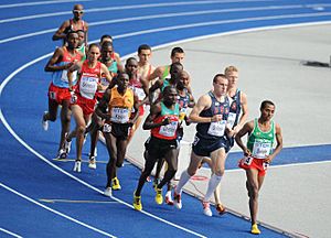 5000 m men final Berlin 2009