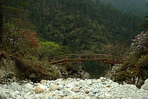 A bridge wildflowers nature Himalayas Yumthang Valley Sikkim India