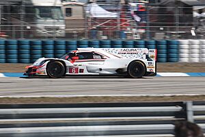 Acura ARX-05 n°6 - 2018 12 Hours of Sebring
