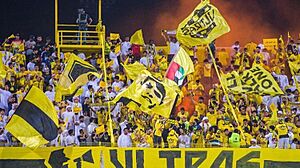 Al wasl fans
