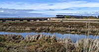 Amtrak train at Guadalupe River, Alviso
