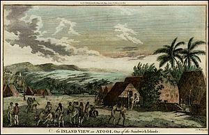 An Inland View in Atooi, One of the Sandwich Islands (1785)