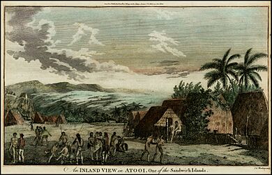 An Inland View in Atooi, One of the Sandwich Islands (1785)