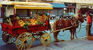 Arabbers selling produce from horse-drawn carts, Union Square, Baltimore