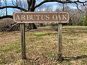 Arbutus Oak Sign Closeup