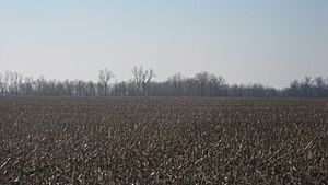 Austin Site from KY138