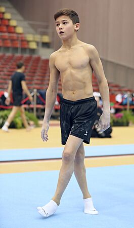 Austrian Future Cup 2018-11-23 Training Afternoon Pommel horse (Martin Rulsch) 333