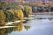 Autumn fishing north shore