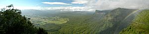 Border Ranges National Park, Australia