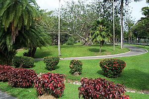 Botanic Gardens Trinidad 2006-03-22