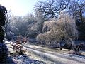 Bryngarw Country Park, Japanese garden in frost 2