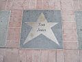 Celebrity Star Tom Jones Orpheum Theater Memphis TN