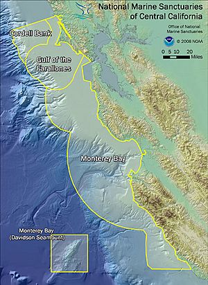 Central California Marine Sanctuaries
