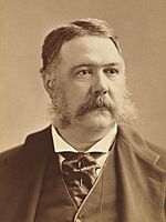 Chester A. Arthur by Abraham Bogardus (cropped).jpg