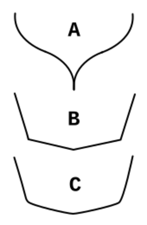 Chine types