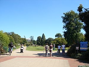 Crawley - Memorial Park