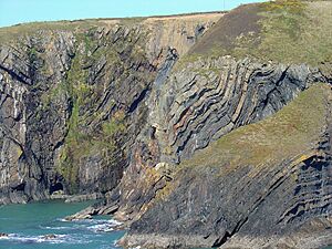Crumpled mudstone strata, Ceibwr - geograph.org.uk - 1803711