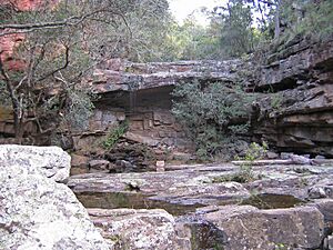 Deadcock-Den-on-Woolshed-Creek2