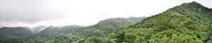 El Yunque panorama