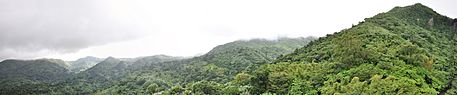 El Yunque panorama