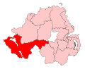 FermanaghSouthTyroneConstituency.svg