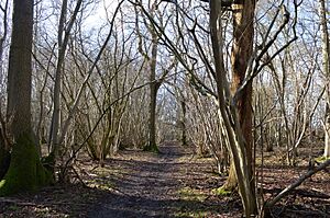 Great Hormead Park 2