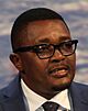 H.E. Walter Mzembi, Minister of Tourism & Hospitality Industry, Government of Zimbabwe cropped.jpg