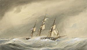 HMS Endymion (1865).jpg