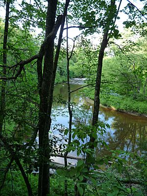 Hamilton Falls Eau Claire River Wisconsin