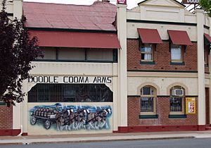 Henty Doodle Cooma Arms Hotel