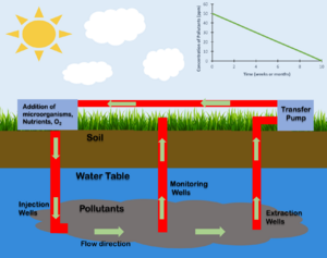 In Situ Bioremediation
