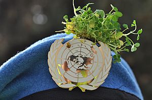 Irish Defence Forces UN Beret with Shamrock (13215113795) (2)