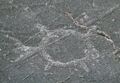 Jeffers Petroglyphs Turtle