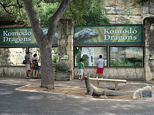 Komodo lair SAZoo