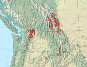 Larix lyallii range map-Natural Earth.png