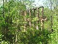Laurel Mills ruins