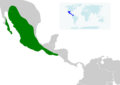 Leptonycteris yerbabuenae map