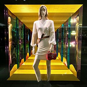 Louis vuitton shop window, Galleria, Houston