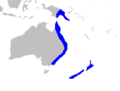 Map-Ripogonaceae