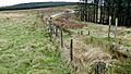 Margam Park, Caer Blaen y Cwm enclosure