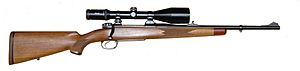 Modern Hunting Rifle