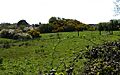 Motte - geograph.org.uk - 163079