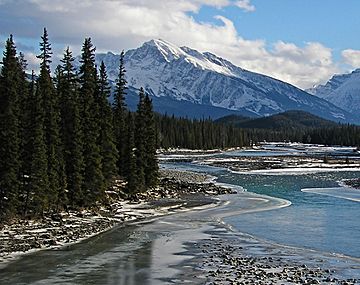 Mount Hardisty and Athabasca River.jpg