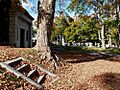 Mt Pleasant Cemetery
