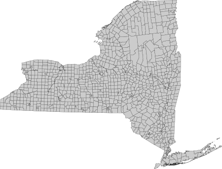 New York State Municipalities