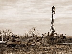 Norman J. Levy Windmill