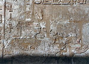 Osorkon III