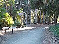 Papua New Guinea Sculpture Garden at Stanford University, front entrance 1