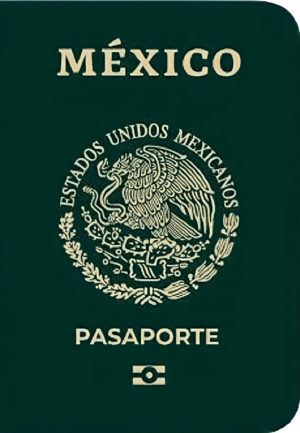 Pasaporte-electronico