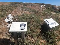 Penguin Island Well, February 2022.jpg